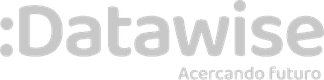 Logo de Datawise